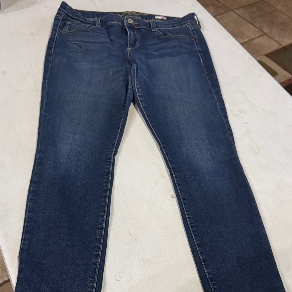 Arizona Jean Company Dark Blue Skinny Jeans